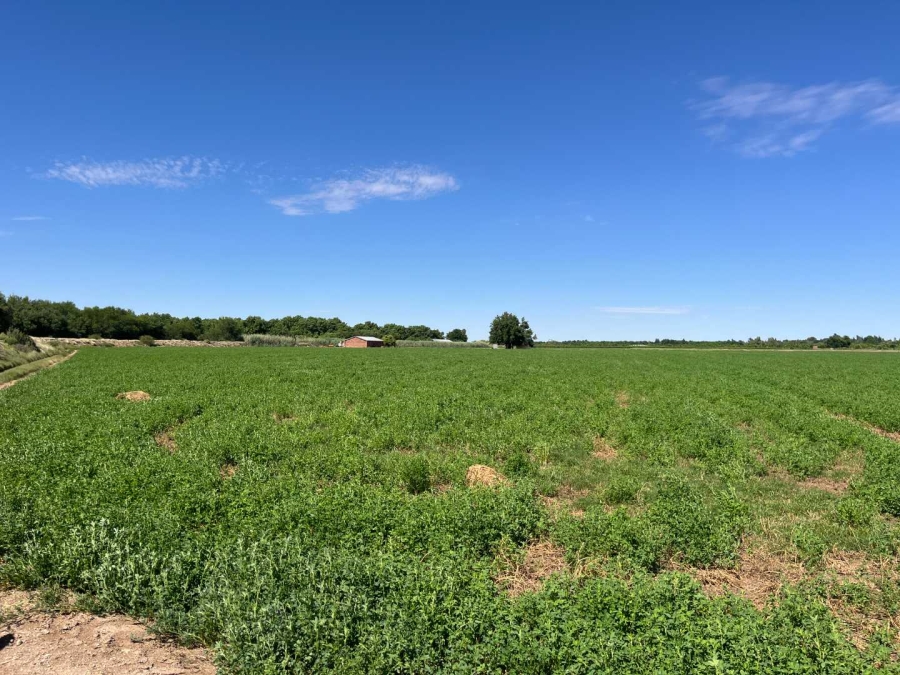 0 Bedroom Property for Sale in Middelpos Northern Cape